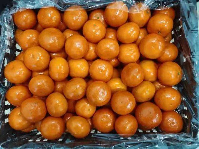 杂粮|【一周食谱】锦艺实验小学的“美好食光”2022.3.07~2022.3.11