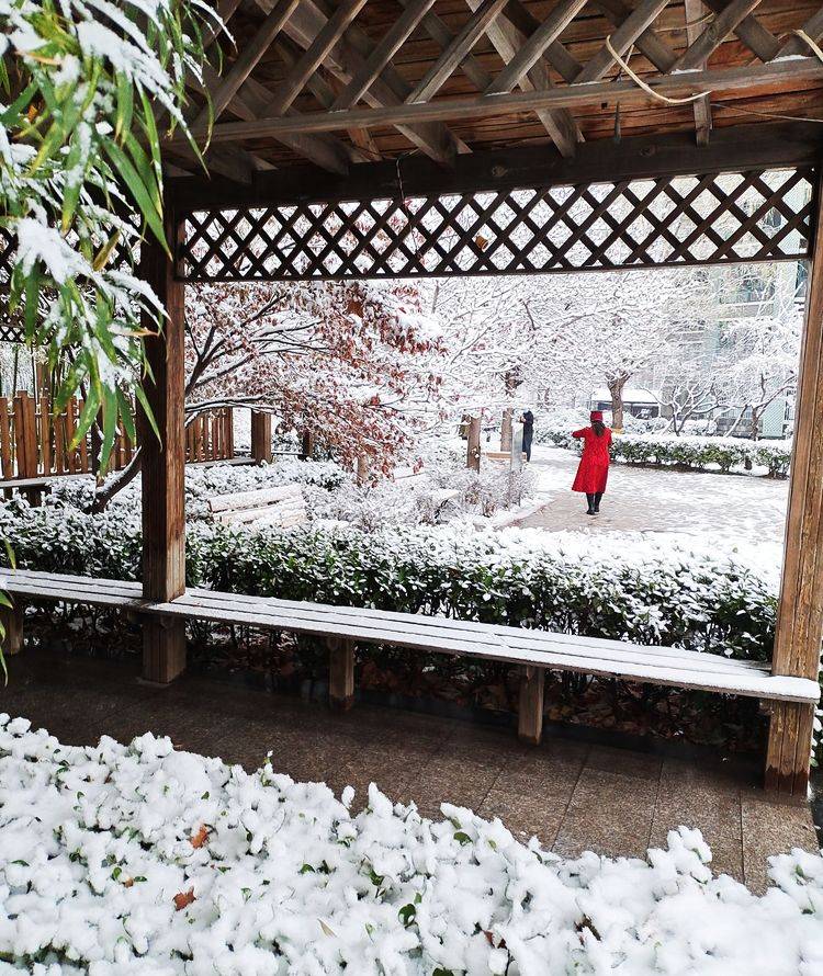 下集|一场雪，让这里的春天真美