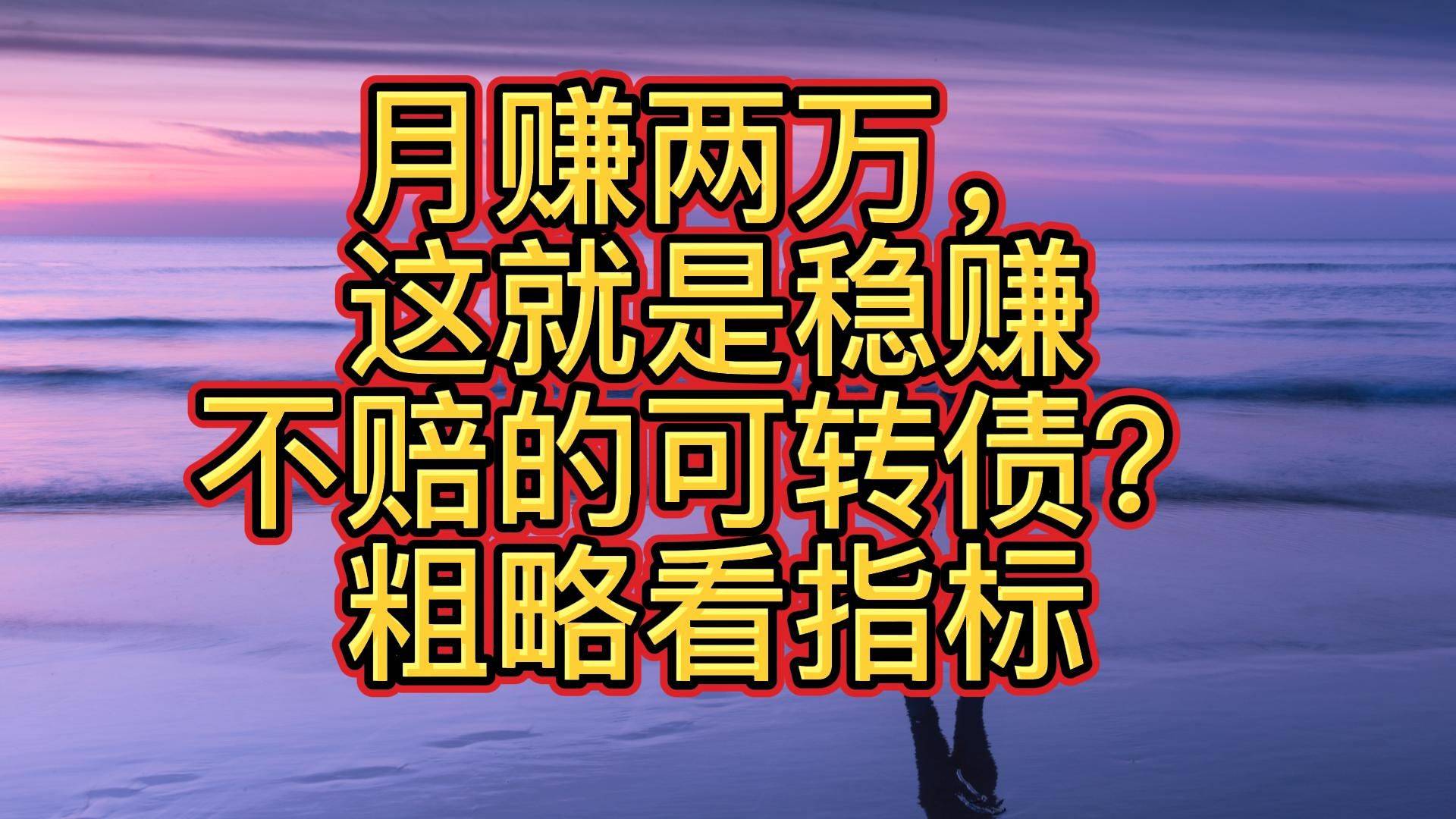 月赚两万这就是稳赚不赔的可转债粗略看指标
