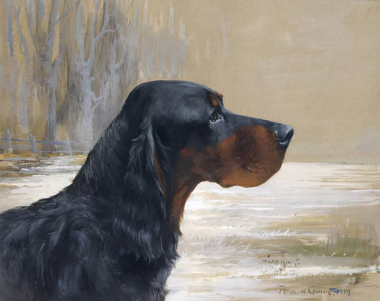 艺术家笔下的写实油画宠物狗100幅_狗狗_写实_油画