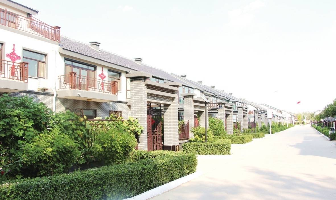 衡水市枣强县枣强镇奋力书写乡村振兴新篇章