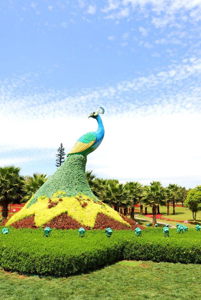 云南弥勒太平湖森林公园的绚丽春景让人惊叹