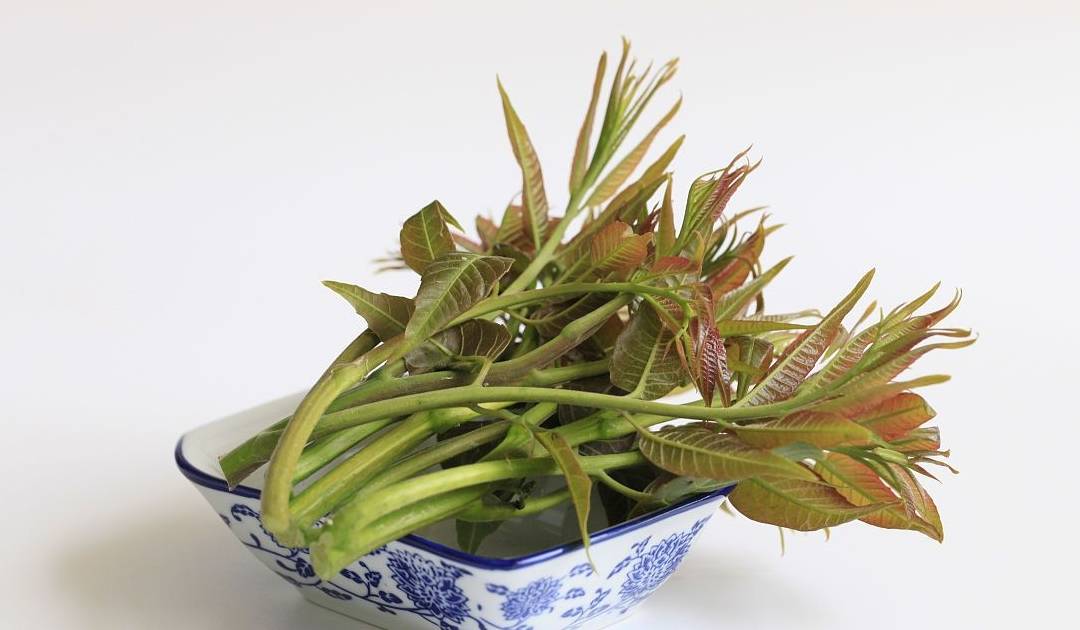 原创为何妇科病越来越多医生直言再馋也要管住嘴别任性