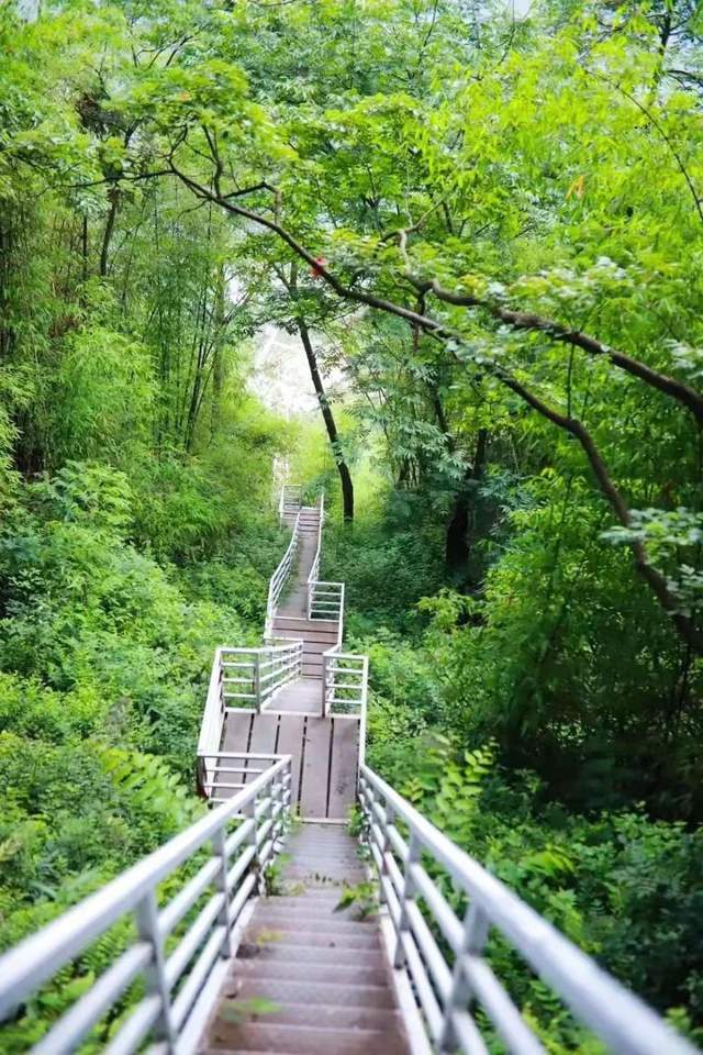 「柒月麓山」有一个浪漫的名字,叫做柒月麓山_竹林_遵道镇_绵竹