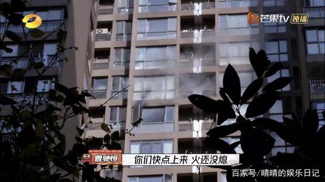 电影|首播就封神！《守护解放西》之后，芒果台又甩出一部王炸综艺？？