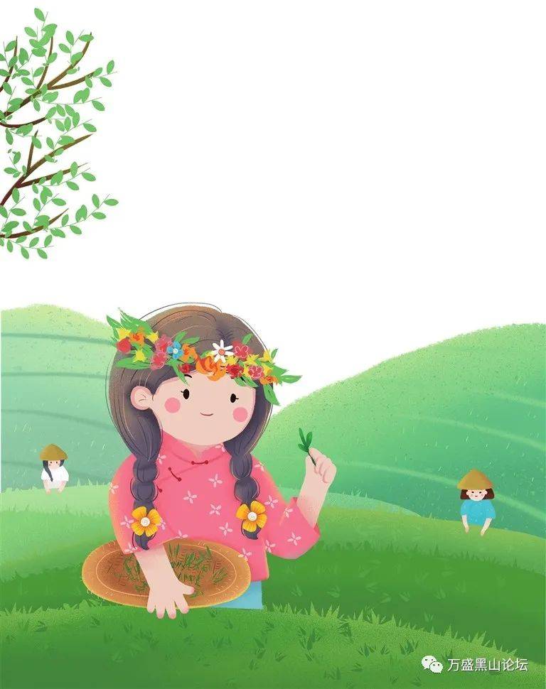 【虎育】茶园真美_茶树_空气_刘语桐