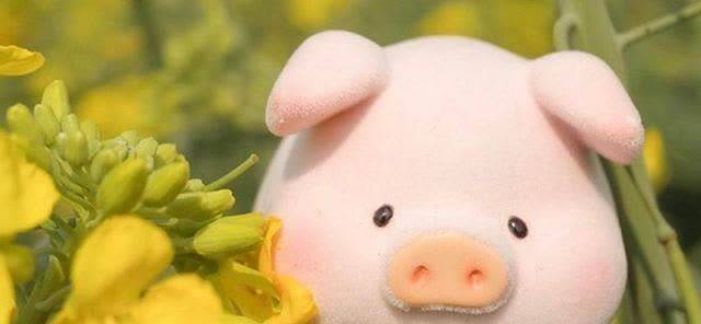 往事|任何感情,只要太深,就是一把刀