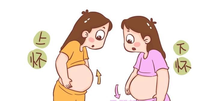 膀胱|“上怀吐，下怀尿”，孕肚位置决定不同妊娠反应，听听医生咋说