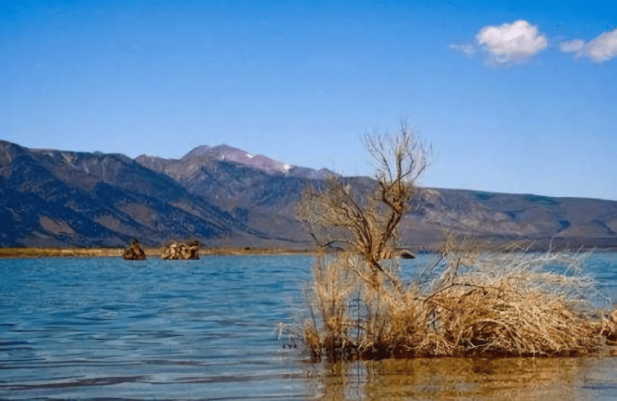 内蒙古一处湖床遍布“五彩石”，竟无人识货遭捡拾，三年损失20亿