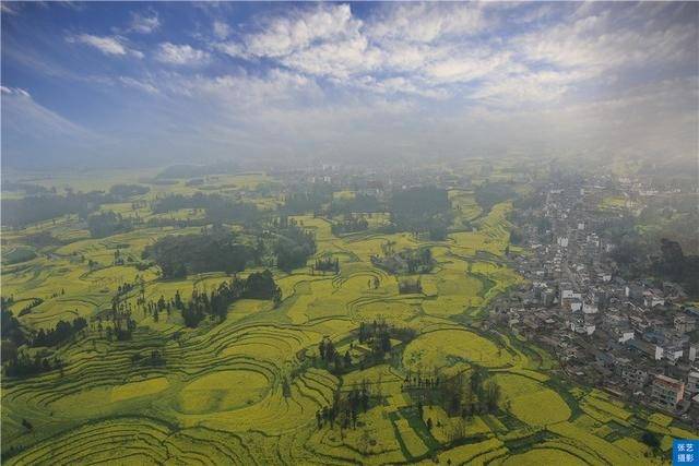 门票|罗平油菜花堪称东方大花园：满目金黄香百里，一方春色醉千山