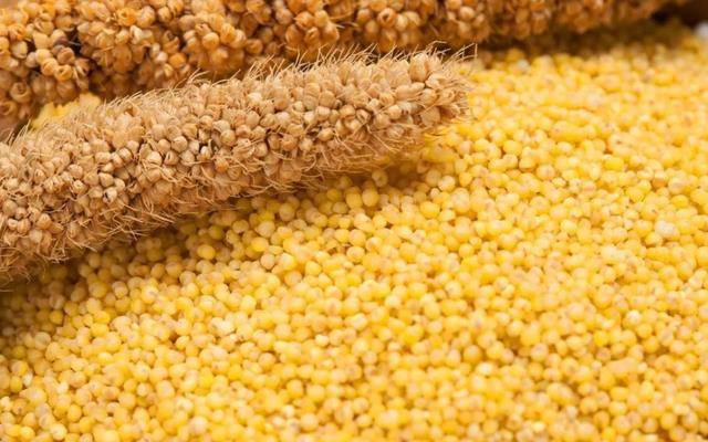 水平|检查出尿蛋白“+”号,是得了肾病吗?常吃2物,或帮你降低尿蛋白