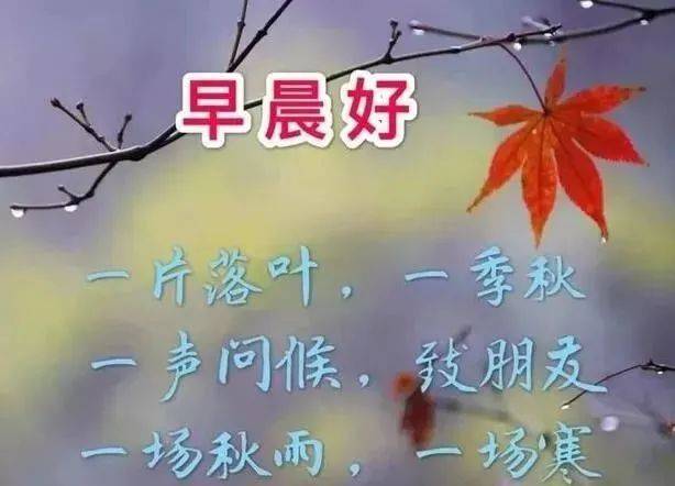 早上好太阳图片带字图片