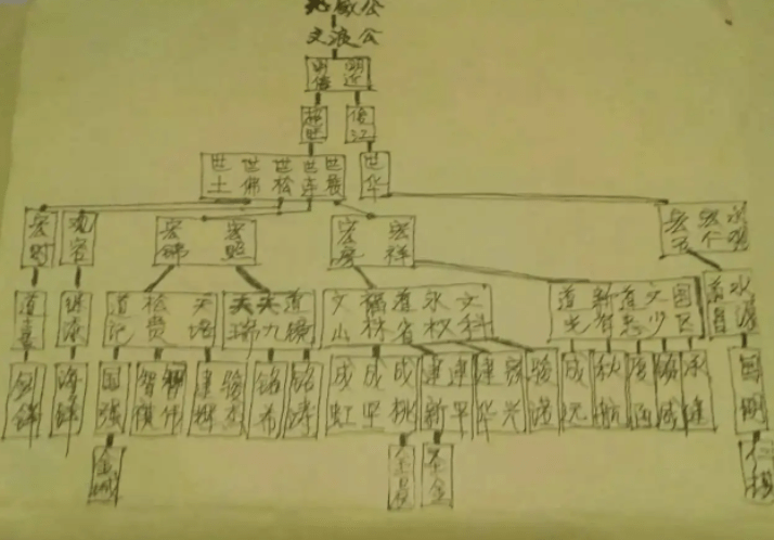 標準的家譜族譜有多少項內容你知道嗎