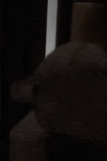 大象老虎屁屁摸不得，但ta的可以，不过不能贪摸哦！