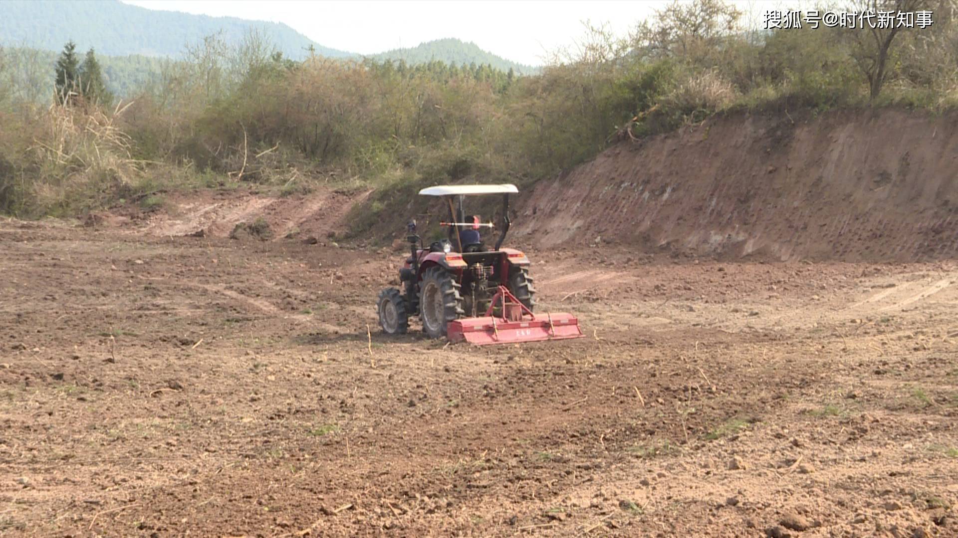 据三学村总支书记王彪说:我们将村里4个社的100多亩山坡弃耕地收回