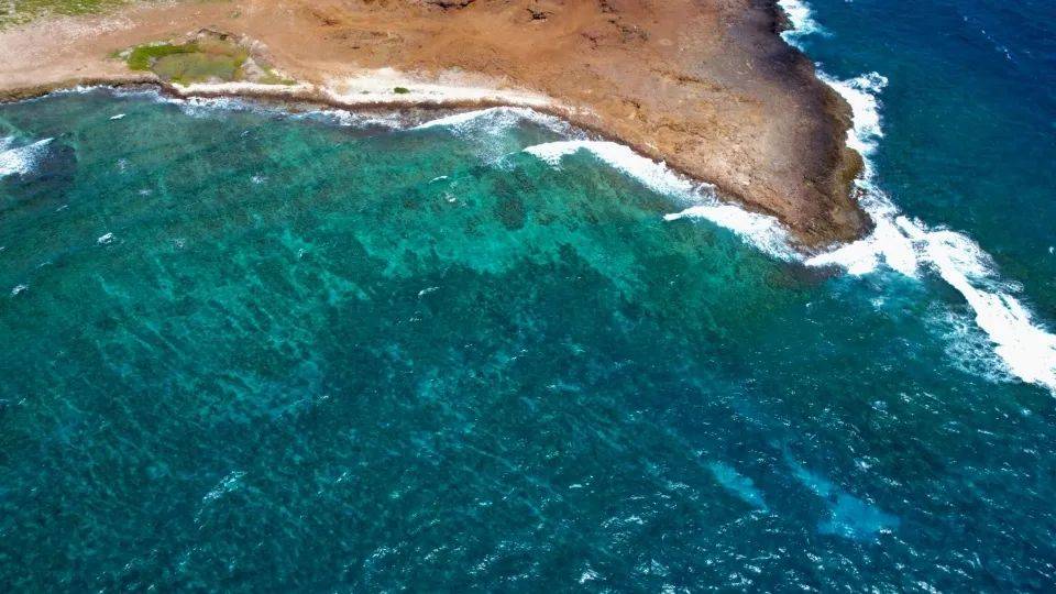 美容仪产品质量频“翻车”,初普雅萌们还能火多久?-家电圈官网