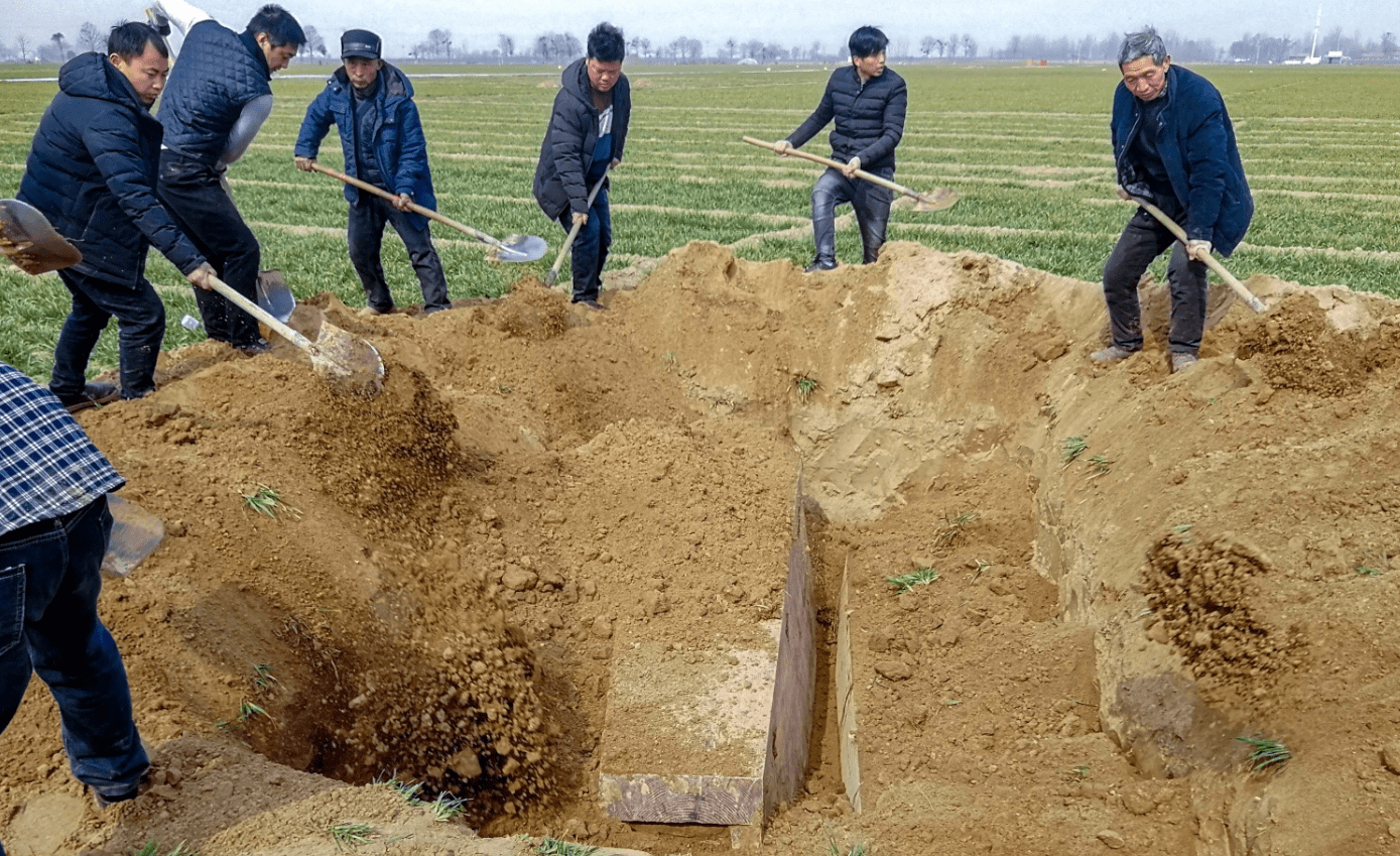 原创北大教授建议恢复土葬火葬费钱更费地究竟哪种方式更合理