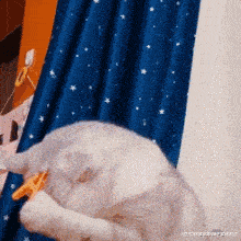 张开嘴|搞笑GIF趣图:驾照刚拿到手,我就迫不及待的想出去嘚瑟