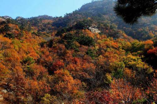 山东小众景点，风景美轮美奂，建筑精美距今700年历史，人少景美