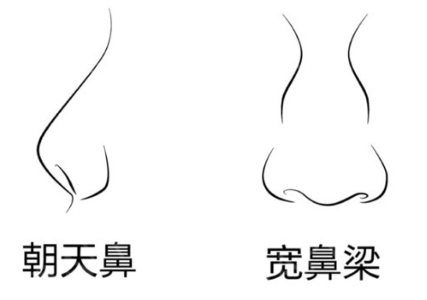 鼻梁梨形鼻却依然好看的女明星：邱天有清冷感，任敏被称作电影脸