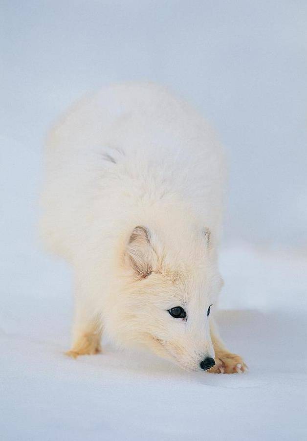桃花债里隐藏最深的一段公案你看出来了吗