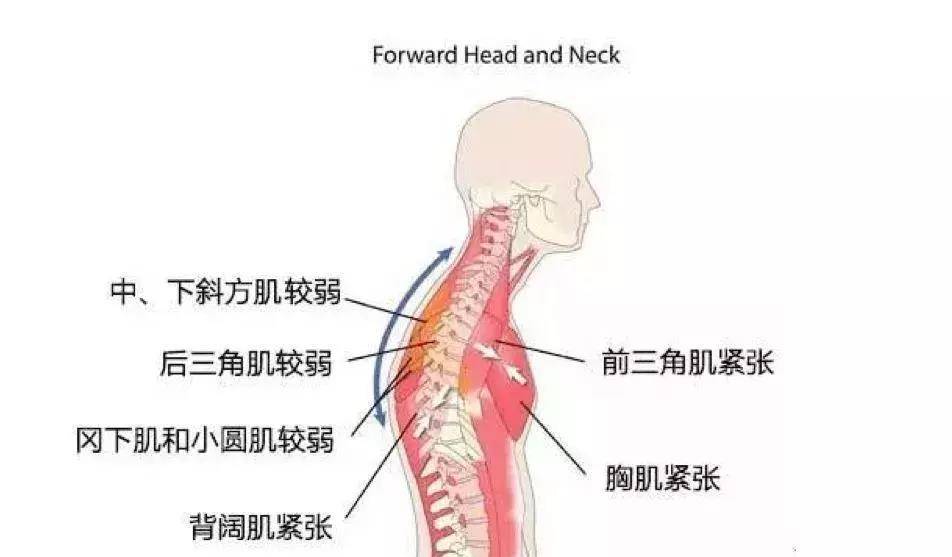 人体|邓伦被后，前女友金晨微博也沦陷了，网友直呼：大仇得报