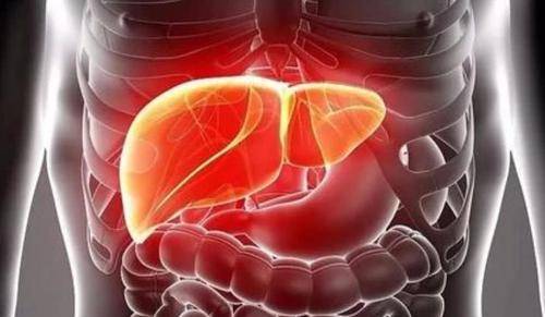 肝脏|为何肝病一查出来就是中晚期？也许多于3个因素有关，建议了解