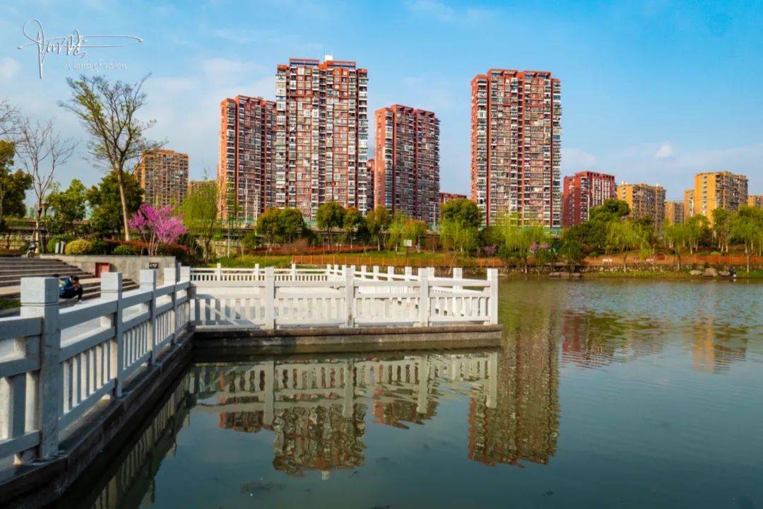 杭州美景无处不在，紫金港的一个小公园，竟然也占地50000多平方