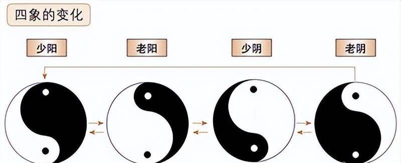 它们分别是太阴,少阳,少阴,太阳.