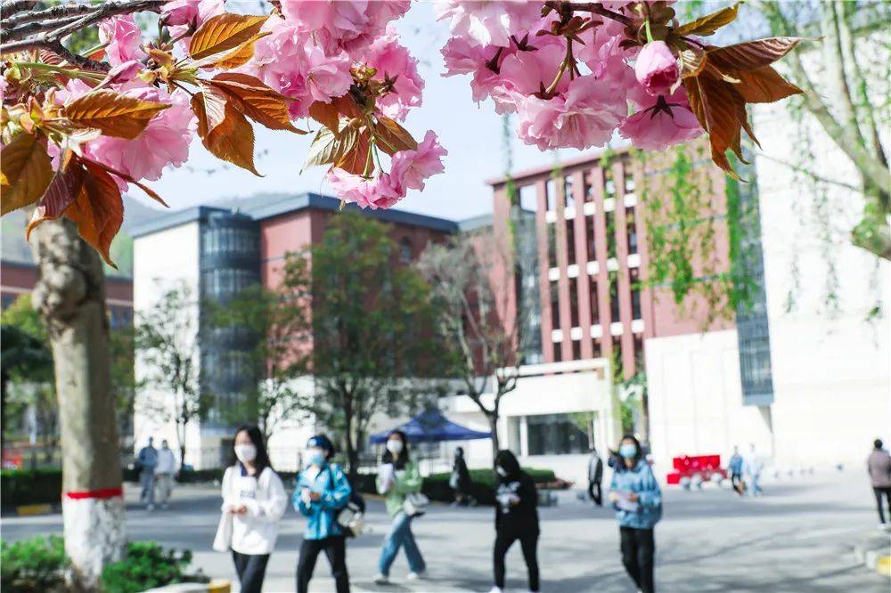 宿舍|西安翻译学院樱花盛开，春天限定浪漫之约