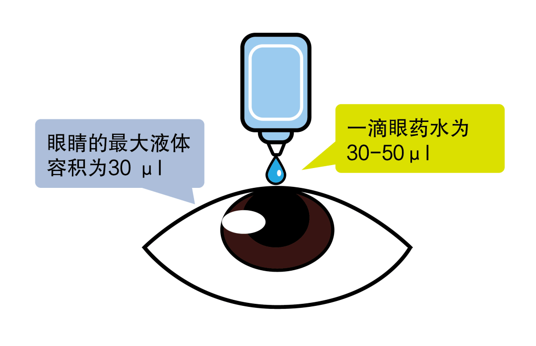 滴入滴眼液之後,應立即按壓內眼角,這樣可以減少藥物被鼻淚管系統吸收