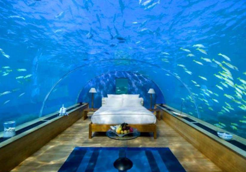世界上唯一藏在海下的酒店，顾客能与鱼群共眠，网友：鲨鱼咋办？