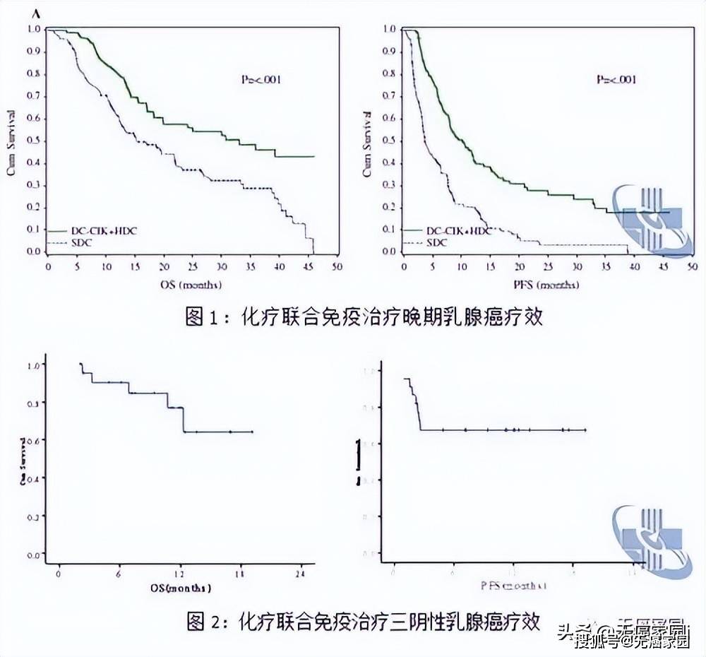 抗癌效果翻倍！细胞免疫疗法联合化疗、放疗、pd 1助力治疗晚期癌症！
