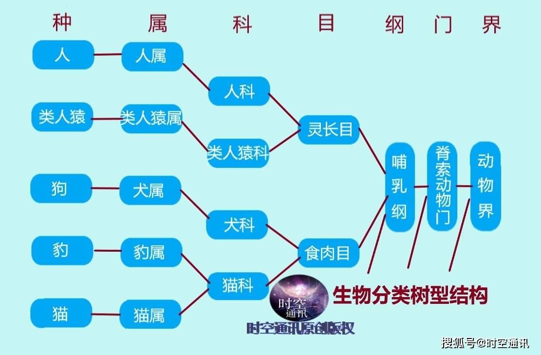 人类为啥能统治地球如果所有生物联合起来反抗人类能撑住吗