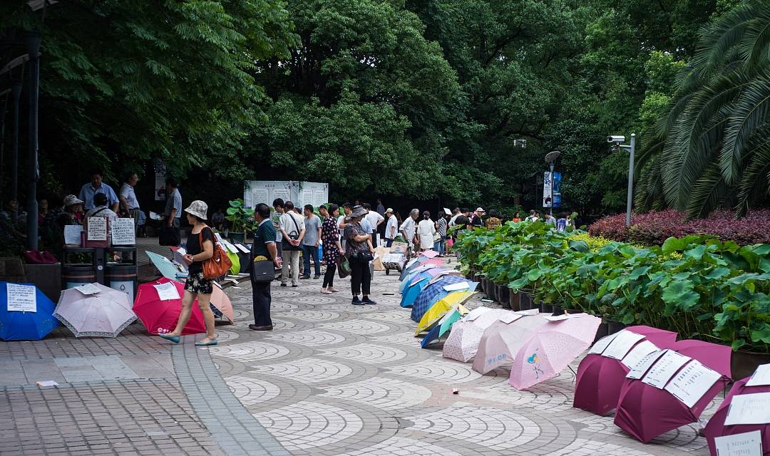 年薪60萬慘遭鄙視深圳最魔幻的相親角充斥傲慢與歧視