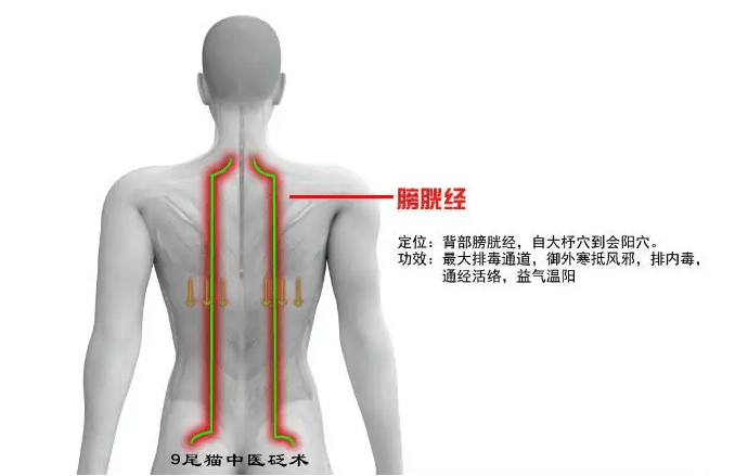 做背的11个理由