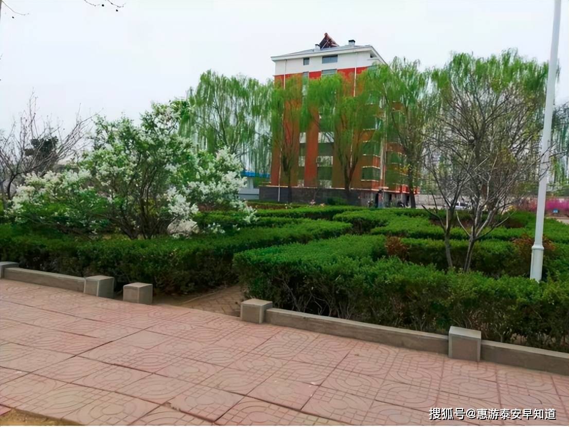 泰安第十五中学校园美景来袭