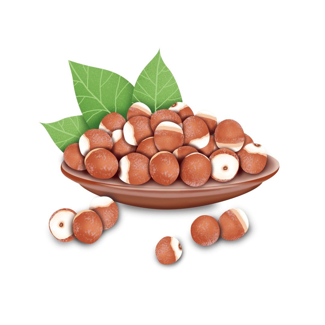 马博士女性养生馆药食同源芡实补益脾肾之上品