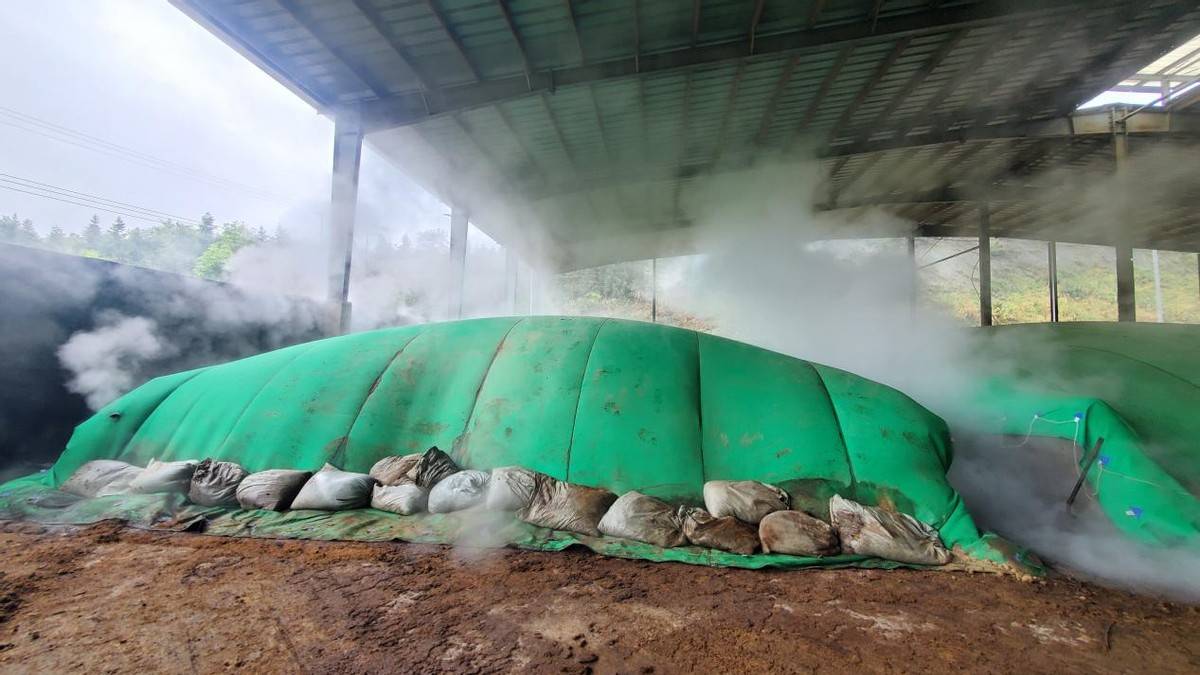 好氧堆肥膜养殖粪污处理黑科技无需建厂房露天发酵环保达标