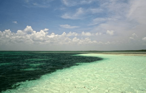 太平洋_大西洋_水位