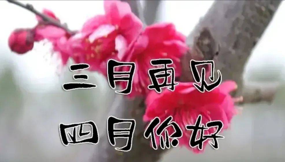 原创4月新版有创意的早上好图片带祝福语温馨的春天大家早上好问候语