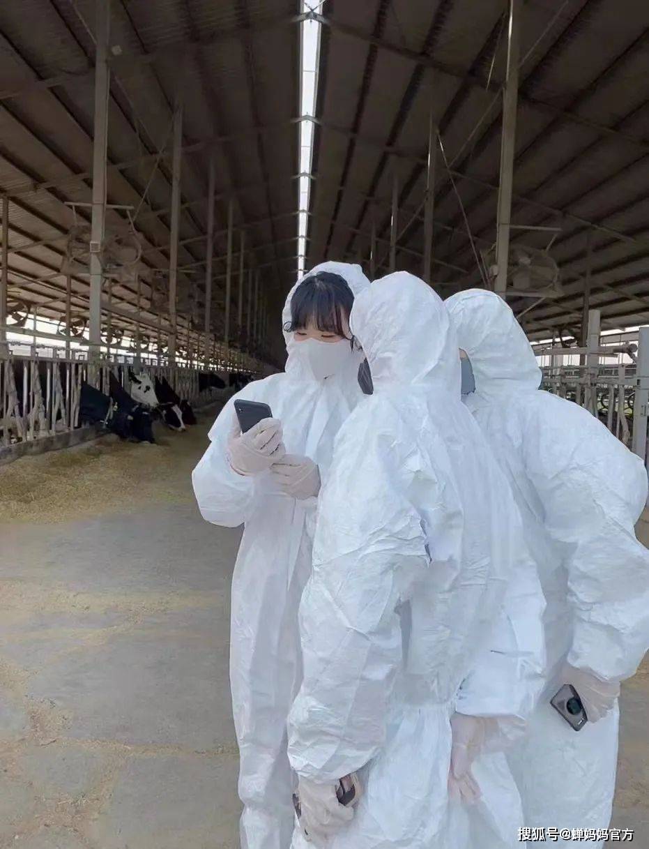 全网首访Cici888的家宴：揭秘美食达人涨粉百万、周销千万的奥秘