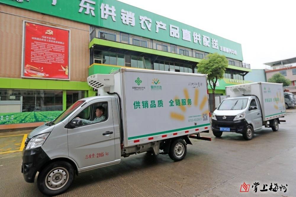 从田间到餐桌!梅州丰顺全程守护市民"舌尖上的安全"_配送