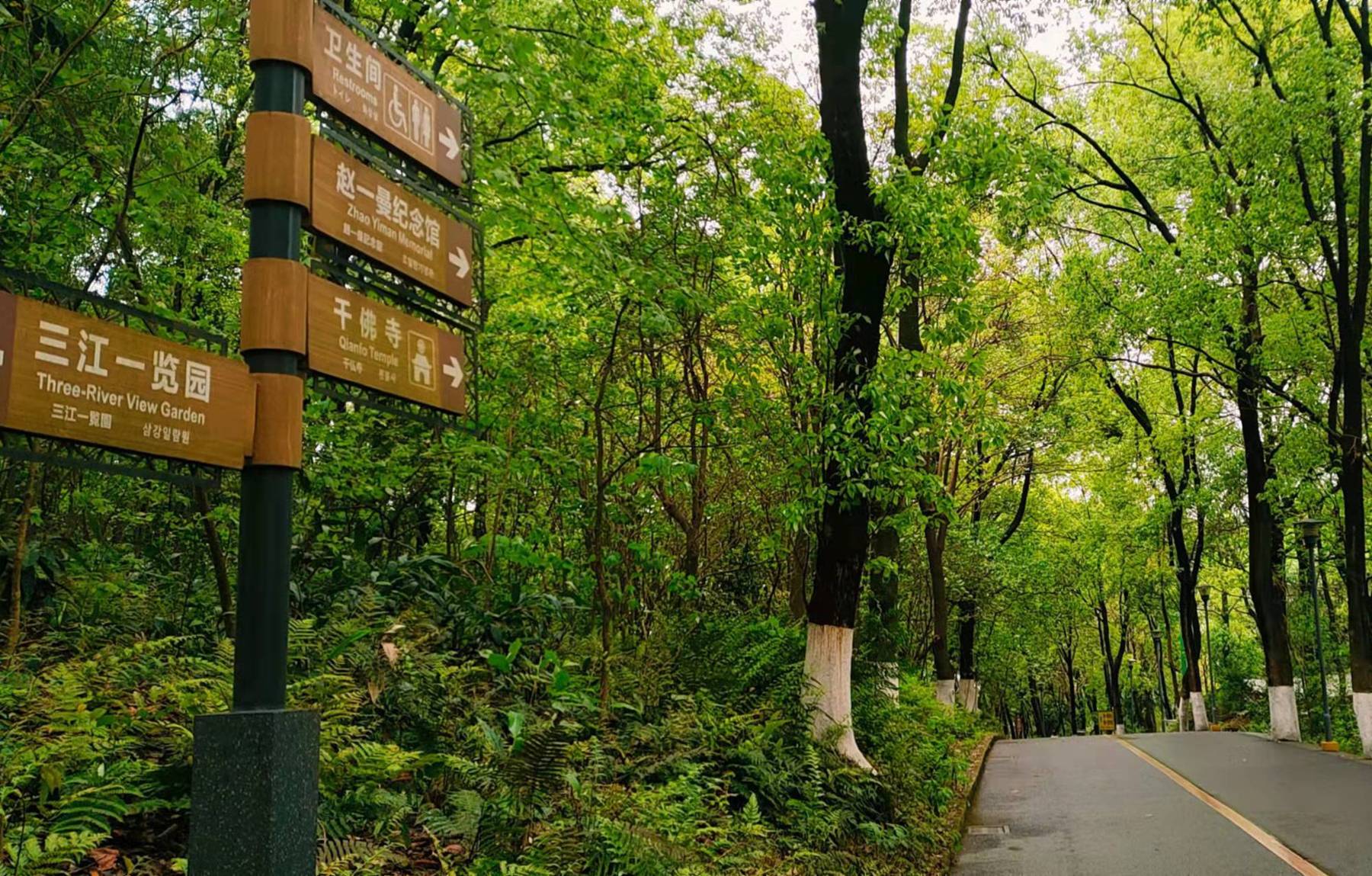 原創清明假期踏青好時節遊宜賓翠屏山公園美翻了