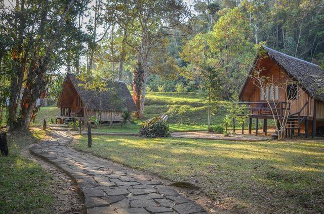 非洲丛林里的野奢度假别墅,这样的小木屋你想来住吗,太美了吧