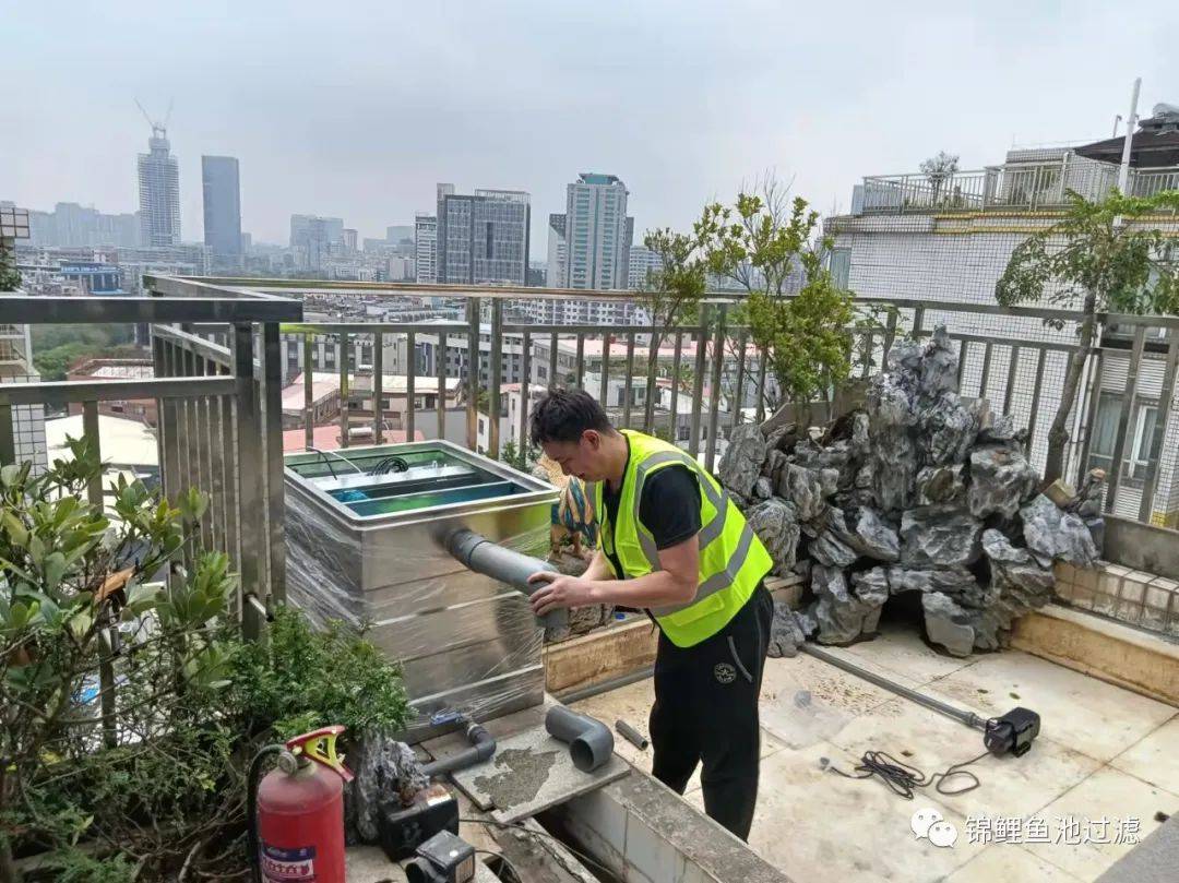 案例分享广州珠江新城私家楼顶花园锦鲤鱼池水净化处理