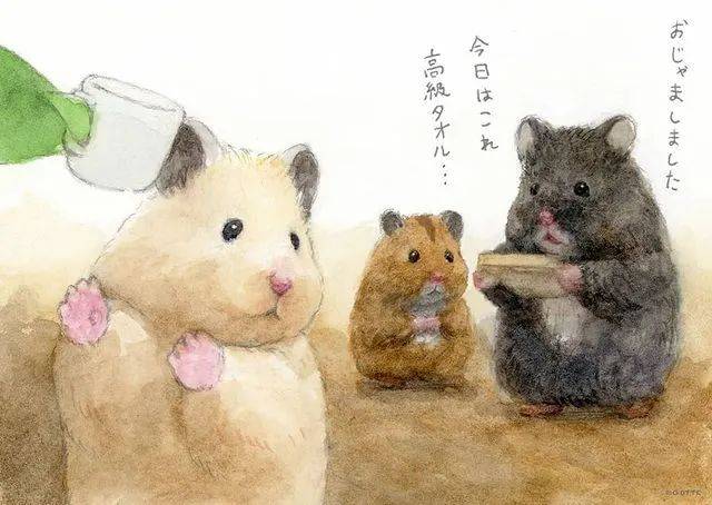 【插画】gottehamham:萌化了的小仓鼠_hamster_frappe_hand