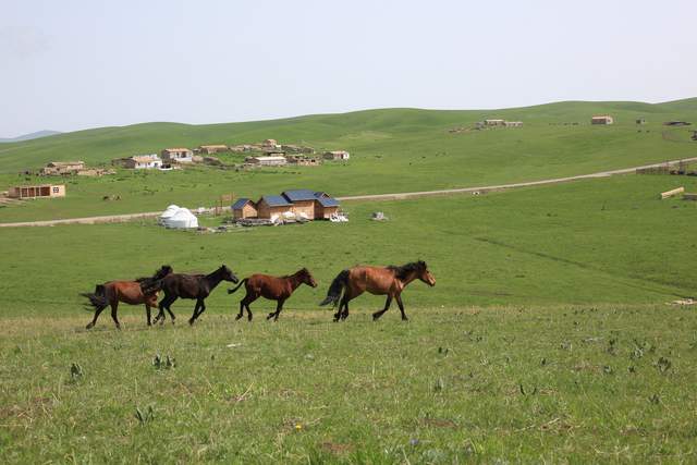 新疆这个地方，风景太美被称之为“塞外江南”，盛产汗血宝马