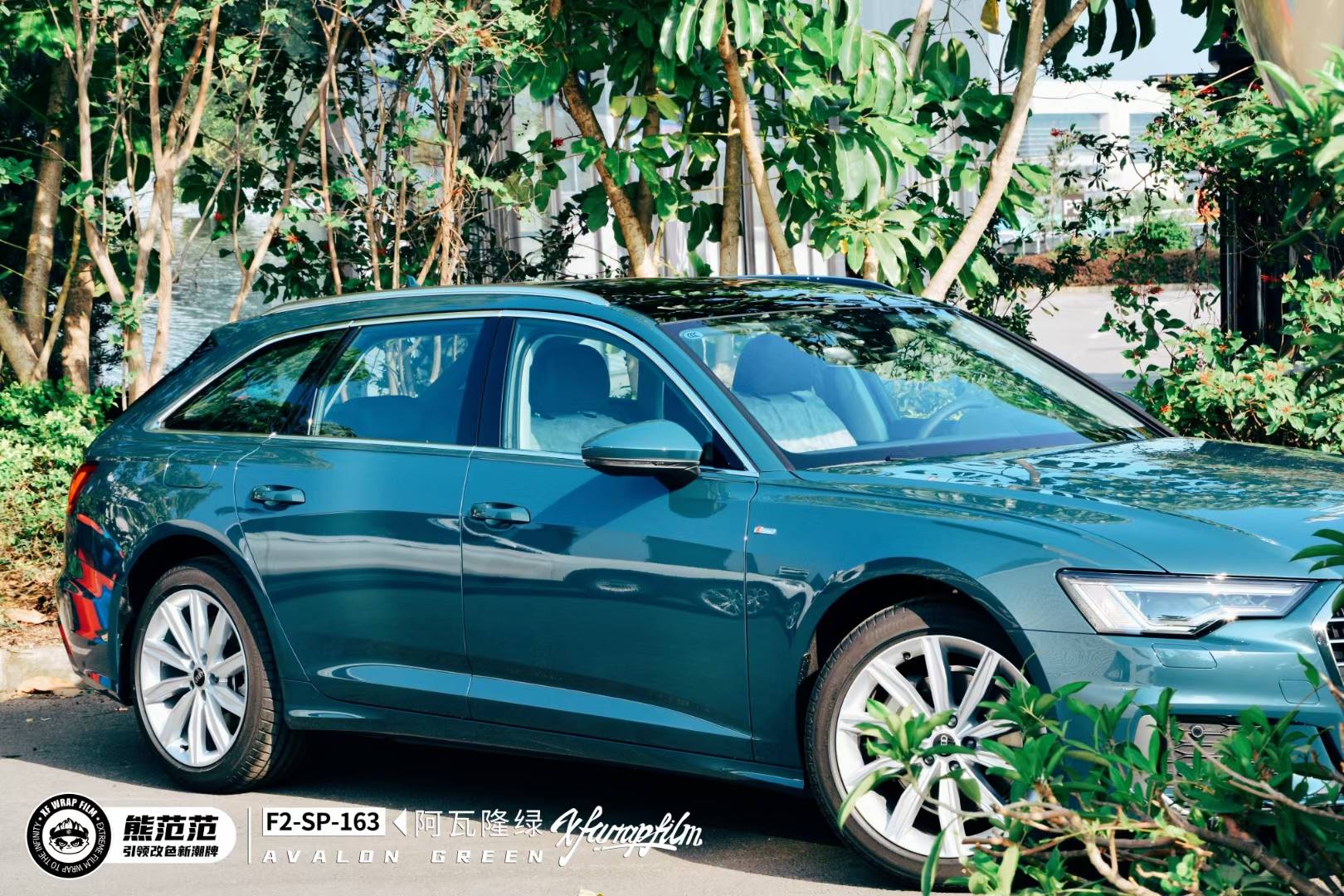 多一丝稳重与优雅阿瓦隆绿改色膜熊范范