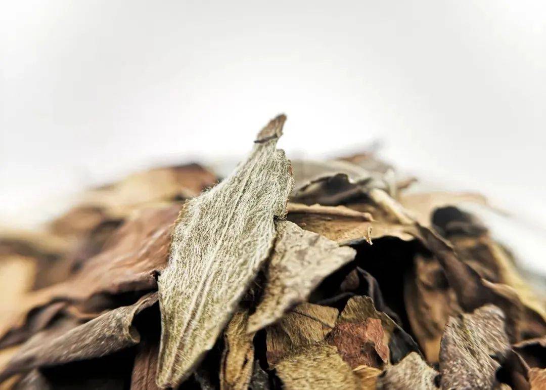 大国礼茶 国昂经典 福鼎白茶丨天地之精,自然之灵